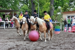 Pferdefußball